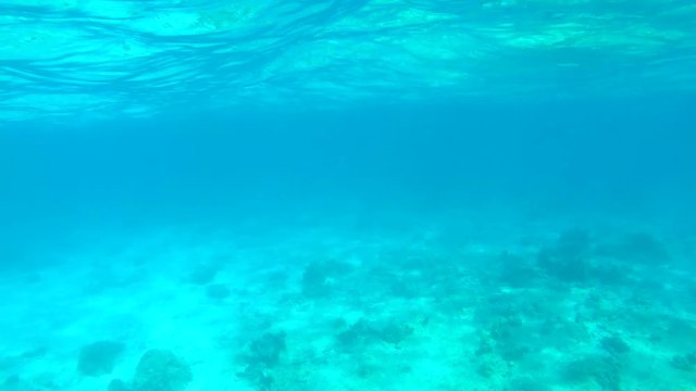 Amazing Clear Blue Sea Water View. HD GoPro Slowmotion Diving Background.