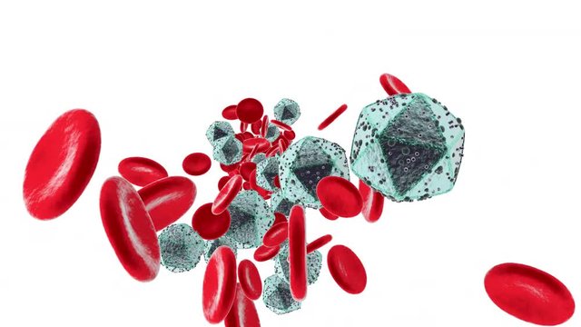 Anatomically correct HIV Virus flowing in the bloodstream	 with Erythrocyte cells on a white background.