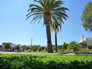 Fototapeta premium nice