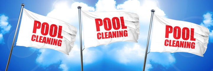 pool cleaning, 3D rendering, triple flags