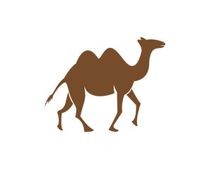 
Camel logo template