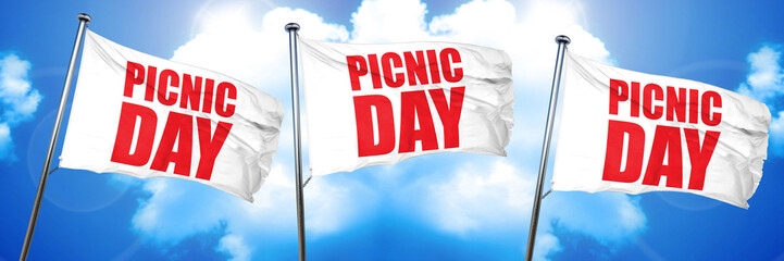 picnic day, 3D rendering, triple flags