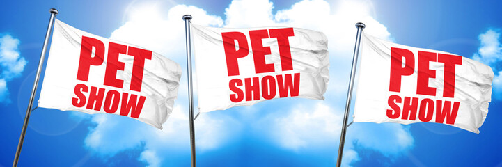 pet show, 3D rendering, triple flags