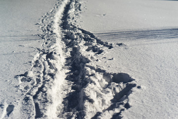 human footprints in the snow. footpath in the snow