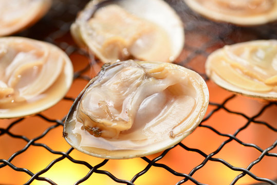 ハマグリ の画像 1 993 件の Stock 写真 ベクターおよびビデオ Adobe Stock