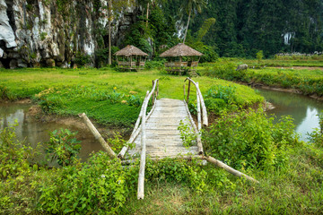 Bamboo Bridge Leading To Bungalows and Jungle Cave