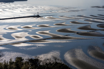 おこしき海岸の干潟