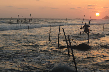 fishing at sunset, sri lanka