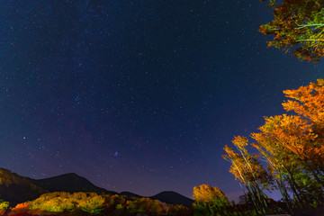 Star of the night sky and Autumn leaves,in Towada-Hachimantai National Park,Aomori,Japan