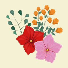 geranium flower decorative image vector illustration eps 10