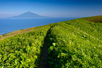 礼文島からの利尻富士
