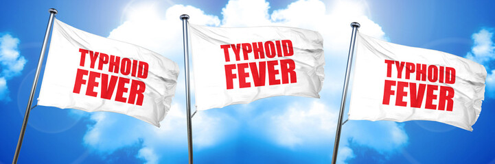 typhoid fever, 3D rendering, triple flags