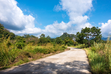 Fototapeta na wymiar Road Winding Through Philippine Countryside