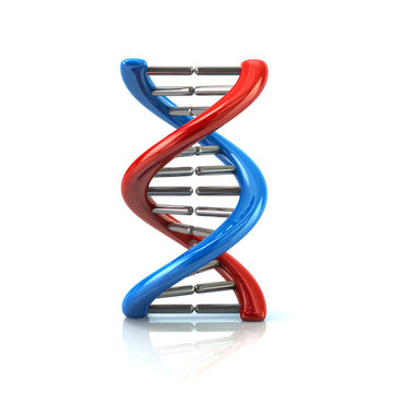 3d illustration of DNA molecule icon