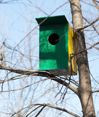 birdhouse in a tree in winter