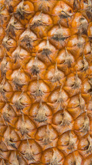 Background of yellow peel pineapple closeup