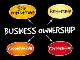 Business ownership mind map concept background