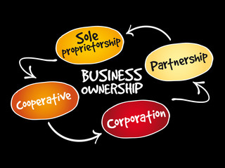 Business ownership mind map concept background
