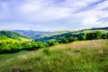 Fototapeta na wymiar Summer mountain landscape, green hills and trees in the warm sunny day
