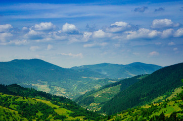 Summer mountain landscape, green hills and trees in the warm sunny day