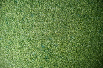 Fototapeta premium grass texture