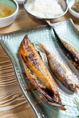 assorted grilled fish