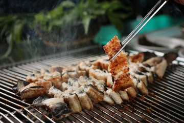 Grilled Freshwater Eel