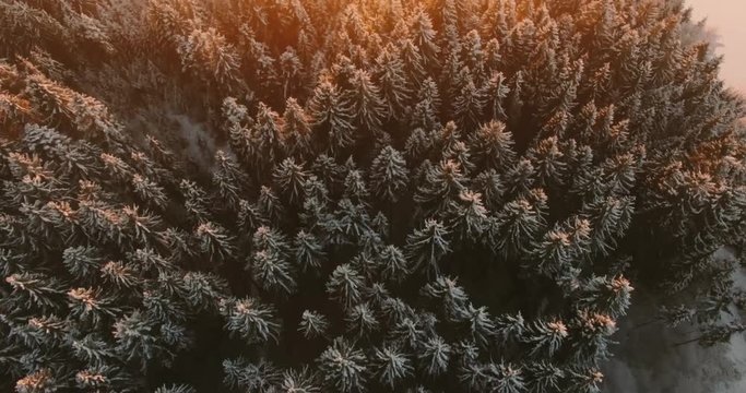 Flug &uuml;ber Winterlandschaft im Sonnenuntergang