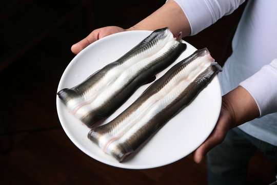grilled eel