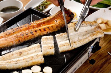 grilled eel
