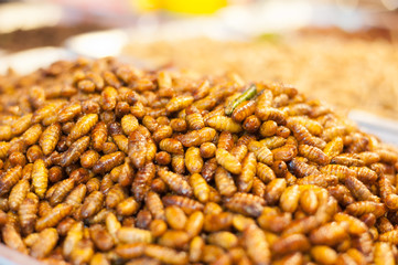 Grilled shrimp on box. 