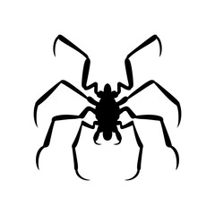 Spider, shade picture