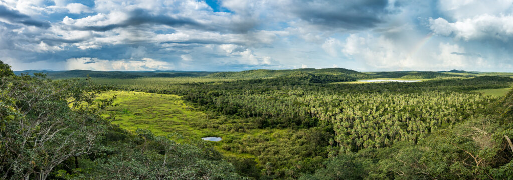 Fototapeta Panorama des Bolivianischen Amazonas-Tiefland