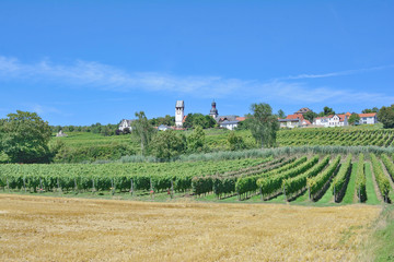Fototapeta na wymiar Weinort Zell im Zellertal im Donnersbergkreis,Rheinland-Pfalz,Deutschland
