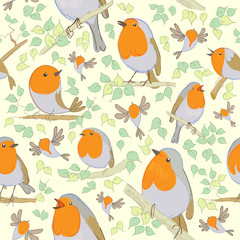 Robin pattern. Cartoon birds. Hand drawn. Vector illustration