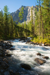 The mountain river Shavla