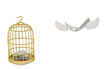 Gold birdcage and gollars fly away