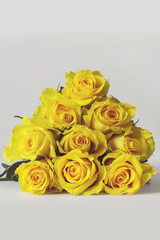 Yellow Roses Bouquet on white background