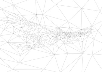 ポリゴンで出来た鷲