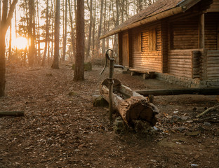 Hütte im Wald im Sonnenuntergang