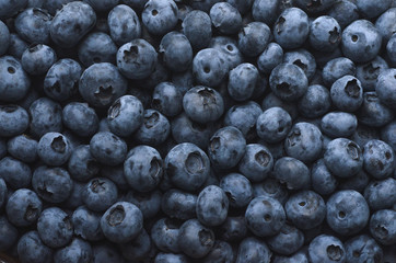 blueberry background