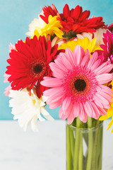 Red gerbera flower in a glass vase. Copy space
