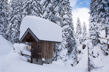 Winter walking path in the alps