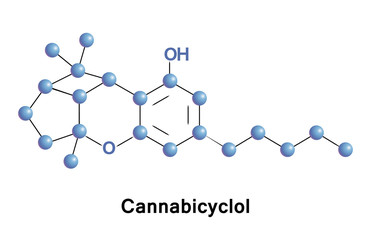 Cannabicyclol is a non-psychoactive cannabinoid found in Cannabis. CBL is a degradative product like cannabinol. 