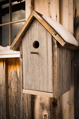 wooden birdhouse