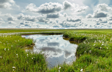 Open grassland and clouds with reflections in water. Iceland.
