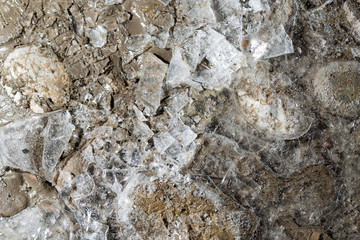 ice on the ground as a background