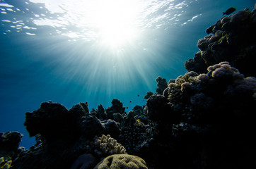 Fototapeta na wymiar Abstract underwater backgrounds