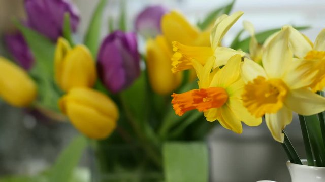 jonquils and tulips in vase