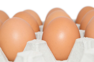 Brown eggs in container cardboard closeup isolated on white background